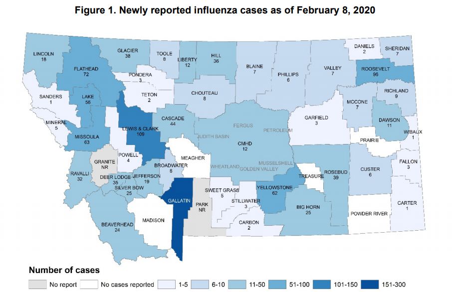 2019-2020 Flu Cases Statewide by Feb 1